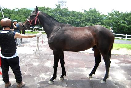 �����ī�� ����