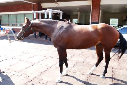 Ŭ���̻�� ����