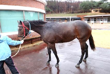 �ö������ƾ ����