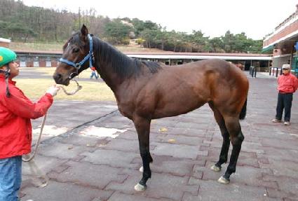 ���¾� ����