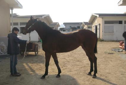 ��õ���� ����