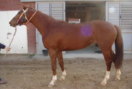 ��ġ���� ����