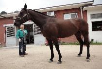 �������� (SPRING GIRL) ����