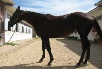 �ٶ��ǳ뷡 (BARAMUI NORAE) ����