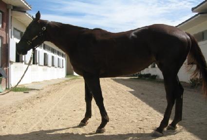 �ٶ��ǳ뷡 ����