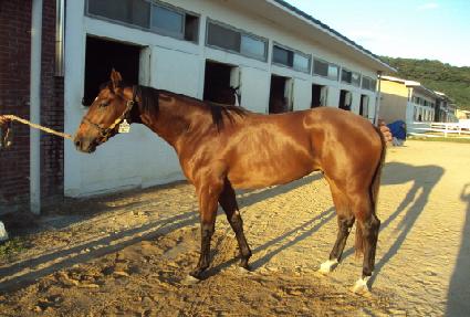 ����� ����