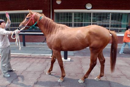 �ѹ�õ ����