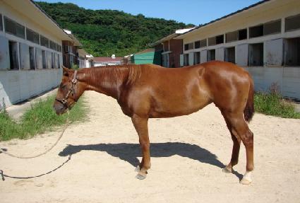 ���ʷ� ����