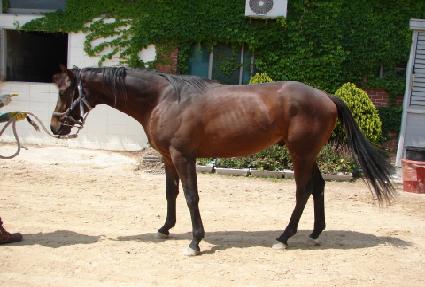 ���÷��� ����