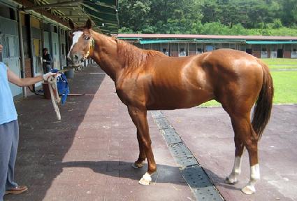 �����ʽ� ����