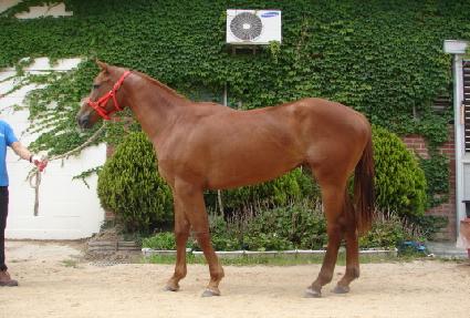 �ԾȽ��� ����