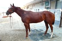 �����δ� (BYEOLDONG BUDAE) ����