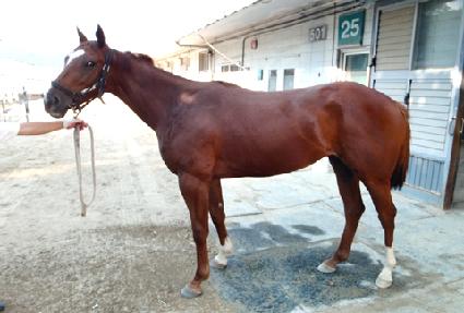 �����δ� ����