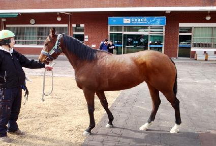 �罺�� ����