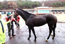 ���ǽ����� (HAPPY SMILE) ����