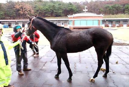 ���ǽ����� ����