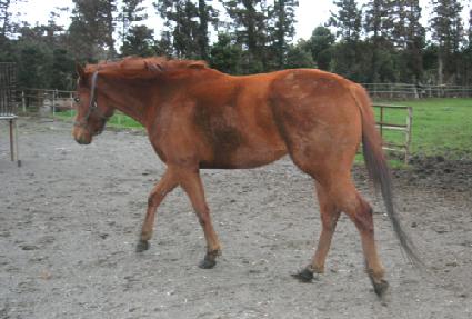 ��ȭó�� ����