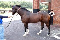 �鷩Ŀ (TOP RANKER) ����