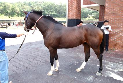 �鷩Ŀ ����