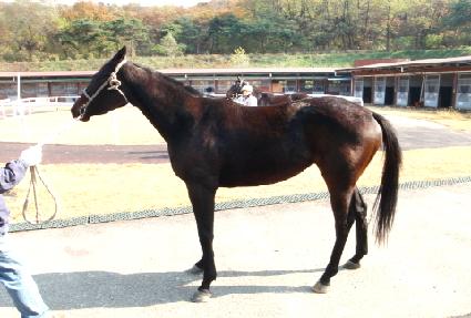 ū�Ҹ� ����