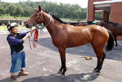 Ȳ�ݹ��� ����