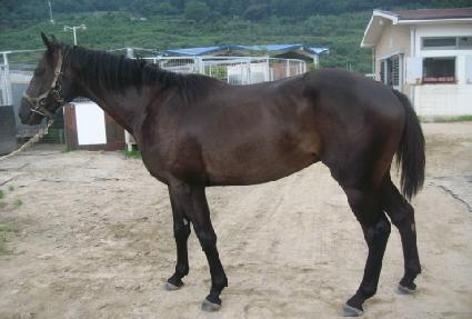 �������� ����