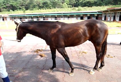 �ϵ ����