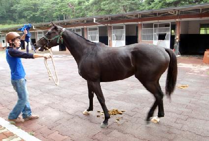 ��ũ������Ʈ ����