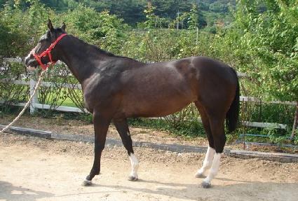 ���̾��� ����