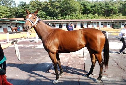 ����Ʈ�帮�� ����