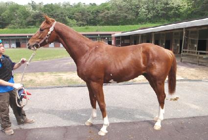 ���̽����� ����