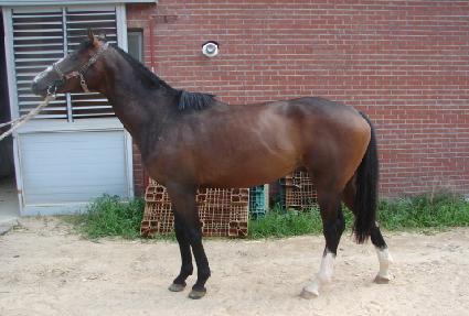 ü������ ����