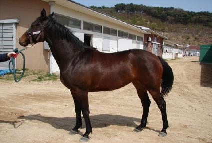 ���己 ����