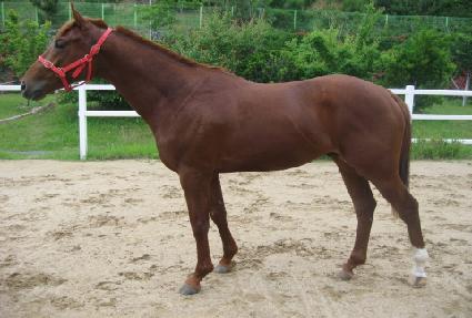 ����¡���� ����