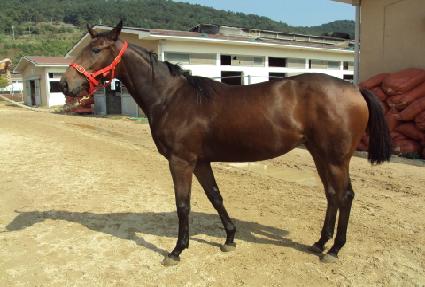 ���ũ�� ����