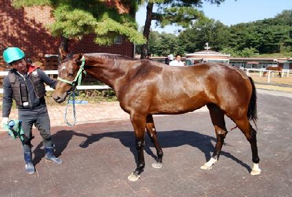 �м� ����