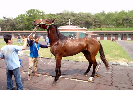 �±� ����