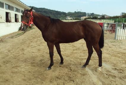 ���Ѻ��� ����