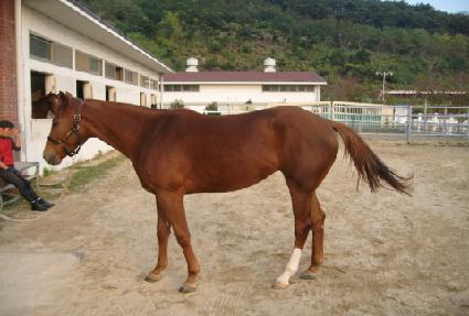 �������� ����