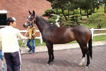 ��Ű���� (LUCKY VICTOR) ����