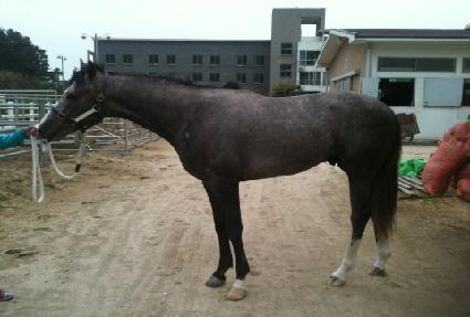 �ܵ����� ����