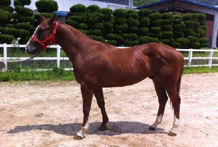 ī������ ����