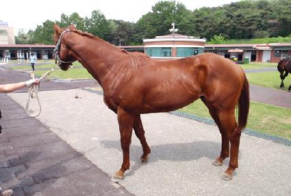 ���̱� ����