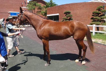 ����Ŀ�Ǵ� ����