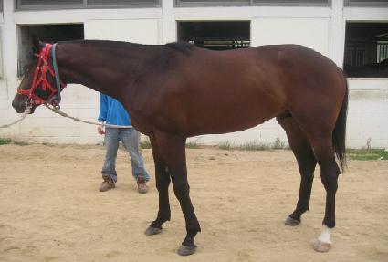 ���̿��� ����