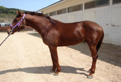 ��ũ���� ����