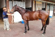 Ž���Ŀ� (TAMNA POWER) ����