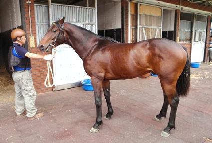 Ž���Ŀ� ����