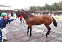 ���ǽ��丮 (HAPPY STORY) ����