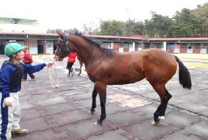 ���ǽ��丮 ����